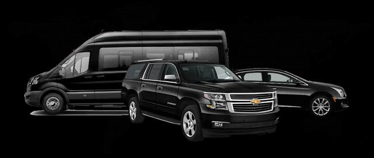 Elegant white limousine decorated for wedding day - NJ wedding transportation service